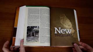 NLT Chronological Life Application Study Bible / Bible Review