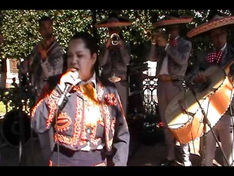 Dafne Olvera & Mariachi Sta Rosa Aires del Mayab.MOD