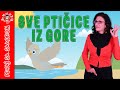 💖 Sve ptičice iz gore 💖 Pevaj Sa Sandrom | Dečije pesme | Dečije priče