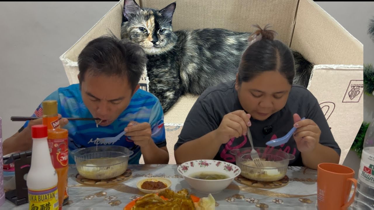 Bihun Sup Menu Terbaik Musim Hujan//Amoi Melahirkan Tetapi Sangat Menyedihkan😢