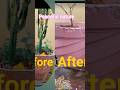 #nature#plants#painting#art#potpaintingideas#beautiful#transformation#peace#shortvideo#ytshorts#reel
