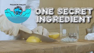How To Make Mushroom Tea The Right Way: A Better Lemon Tek Resimi