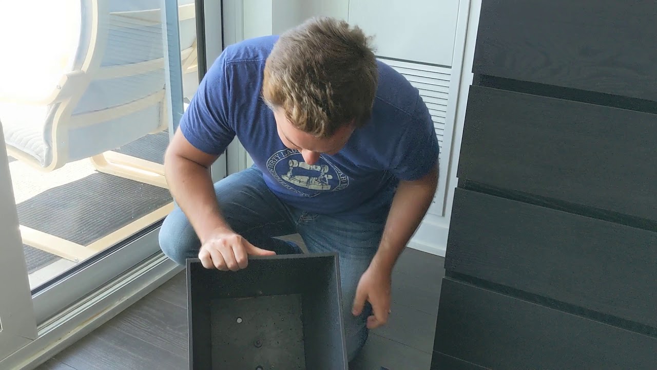 How-To Eliminate Root Rot in Potted Plants