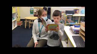 TLE New Tampa Kindergarten Experience