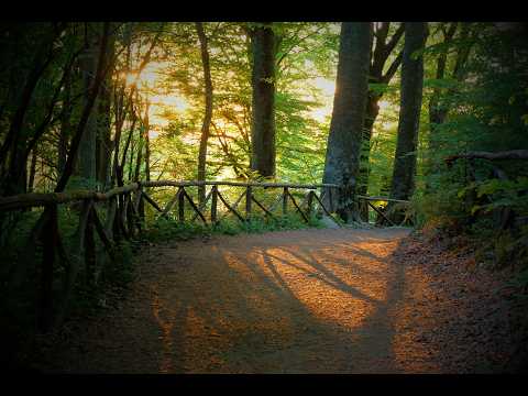 il viaggio, The Journey - Luigi Brutti