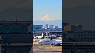 #planesspotting #planespotter #hnd #haneda #lufthansa #748 #japan