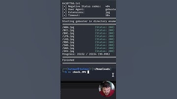 Upload Vulnerabilities - Challenge | Answer the Questions Series #shorts #thm #tryhackme
