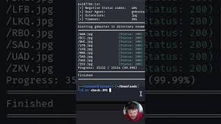Upload Vulnerabilities - Challenge Answer The Questions Series