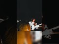 びりびりしびれる (live) ドミコ