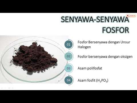 Unsur Fosfor dan Senyawanya