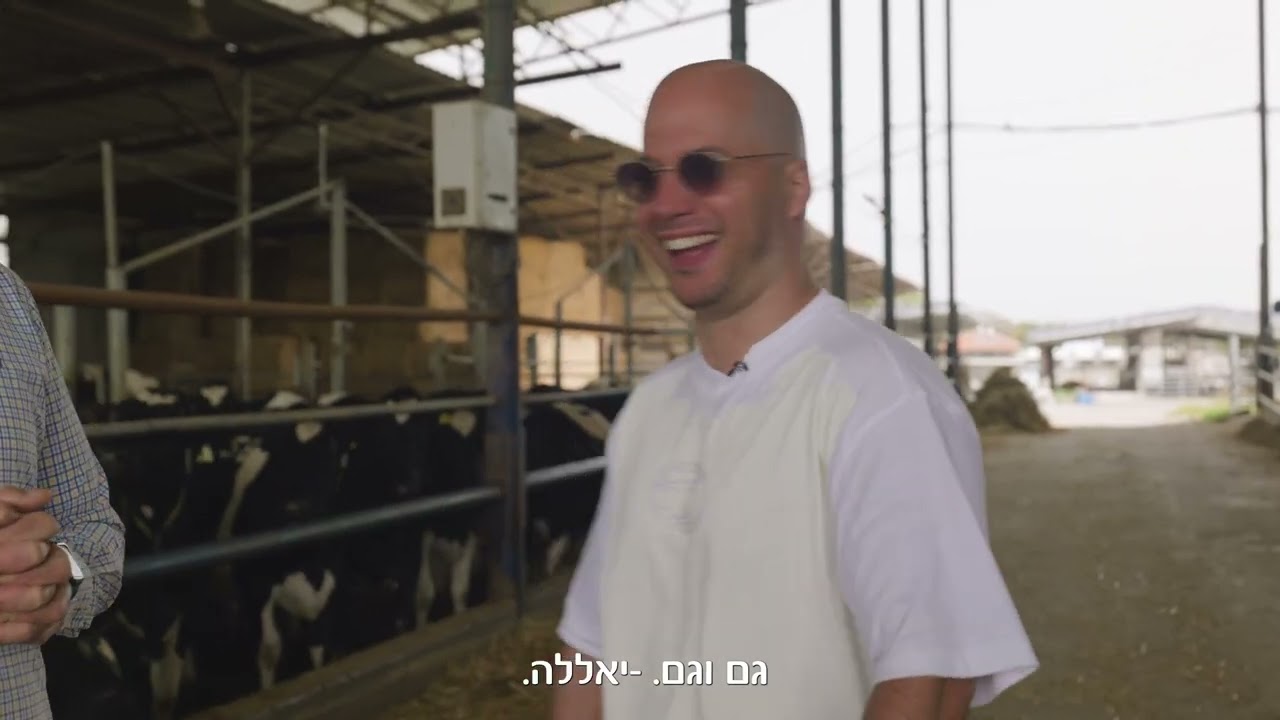 מה זה פרת הולשטיין? מבכירה? והקצביה שאתם חייבים להכיר (כשר)