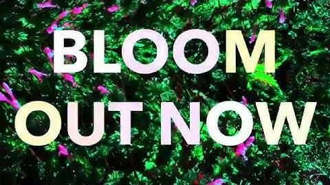 WQLF.-Bloom (Intro) OFFICIAL MUSIC VIDEO