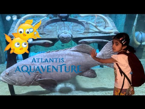 شيخه و سلامه رايحين اكواريوم اتلانتس 