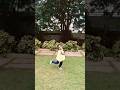 Instant dance beats💃 own choreography😍#shorts#nature #garden#love#dance#beats #dancemoves#dancelike