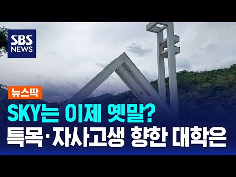 특목·자사고 출신 어디로 진학?…가장 많이 택한 대학은 / SBS / 뉴스딱