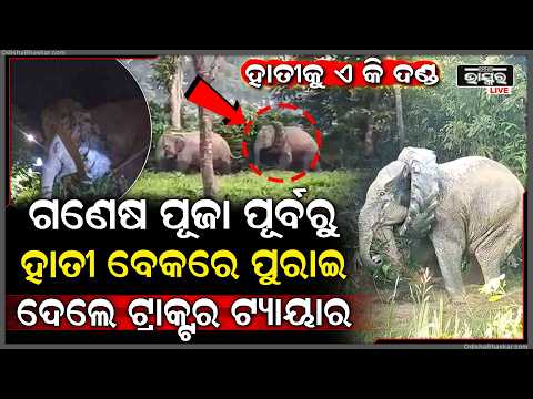 ହାତୀ ବେକରେ ଫସି ରହିଛି ଟ୍ରାକ୍ଟରର ଟାୟାର, ହାତୀଟିର ଏକ କଷ୍ଟକୁ ଟିକେ ଦେଖନ୍ତୁ… କିଭଳି ସେ କଷ୍ଟ ସହୁଛି ।
