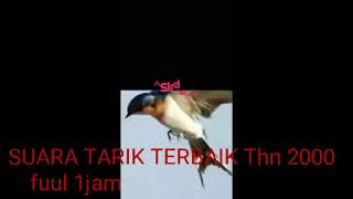 Suara tarik raja walet fuul 1 jam tahn 1990-2000an(cover sp raja walet  1990-2000)