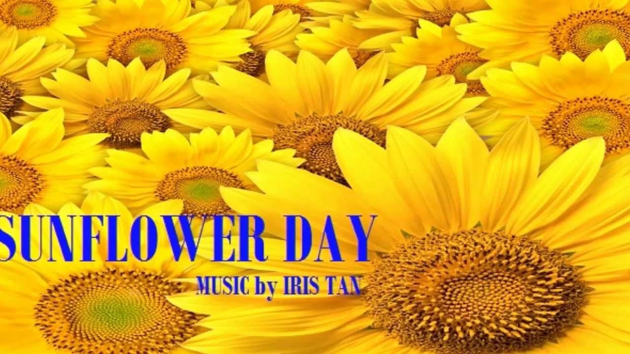 Happy Music for Videos Sunflower Day Audiojungle YouTube