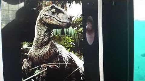 Finding nemo part 2 a terrible fate