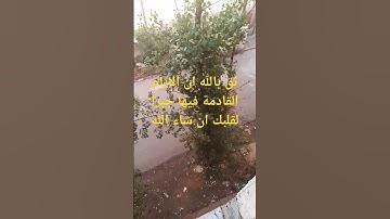 #سورة_ال_عمران #عبدالرحمن_مسعد #اكسبلور #النهار