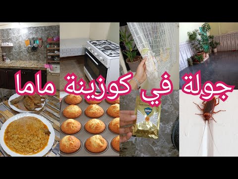 الحل النهائي للقضاء على الڨرلو بضربة واحدة مايقعد لاصغير ولا كبير من أروع ماجربت