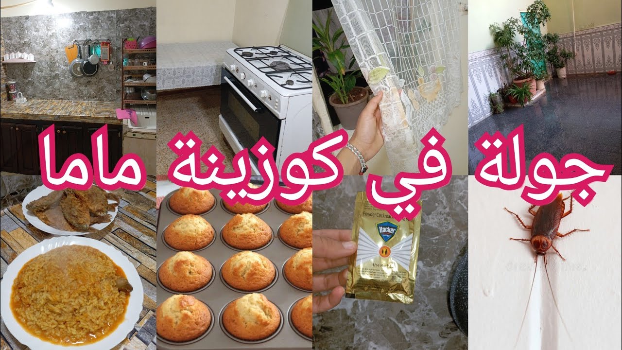 الحل النهائي للقضاء على الڨرلو🪳 بضربة واحدة مايقعد لاصغير ولا كبير من أروع ماجربت 