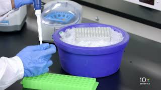 Famous Single Cell ATAC Protocol v2 | Prepare Transposition Mix and Isothermal Incubation Wealth