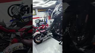 Fresh powder coated wheels can u guess the bike???