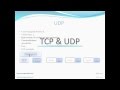 البروتوكول TCP  و  UDP