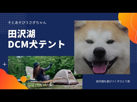 【田沢湖】DCMドックテント/秋田犬/キャンプ道具/旅
