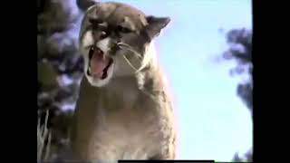 Disneys Homeward Bound The Incredible Journey Tv Spot 1993 Low Quality