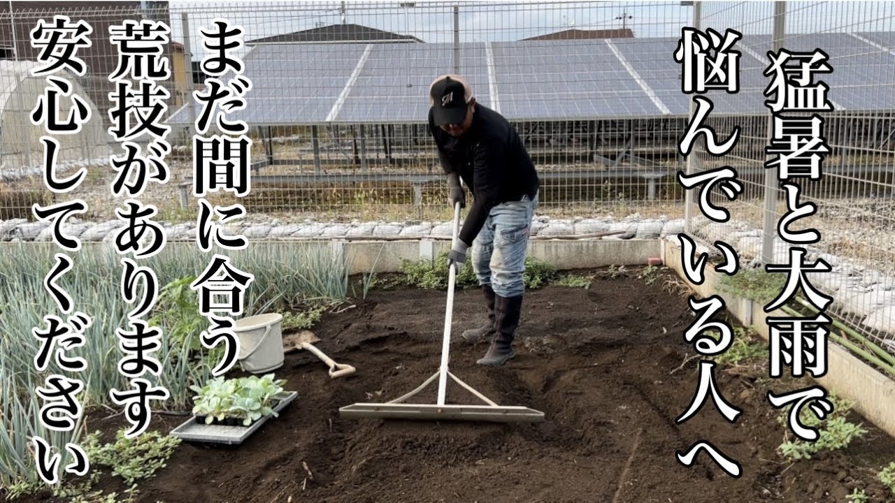 厄介なセンチュウを退治しながら土が若返る方法！秋の土作りが間に合わない時も１発仕上げ！（堆肥と石灰と元肥も同時に出来る）【微生物が主役】【AG土力】23/9/10