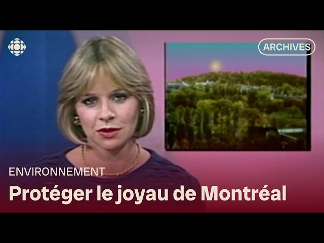 Mont Royal : le projet de tour qui a menacé la montagne en 1986