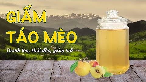 CÁCH LÀM GIẤM TÁO MÈO ĐƠN GIẢN NHẤT TẠI NHÀ - HỖ TRỢ GIẢM CÂN, GIẢM MỠ MÁU,  MỠ GAN AN TOÀN