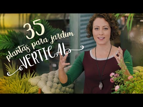 Vídeo: Ervas de jardim de ação de graças em vaso - Cultivo de ervas para o Dia de Ação de Graças