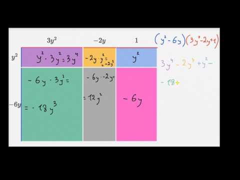 ორწევრების გამრავლება მრავალწევრებზე: ფართობის მოდელი