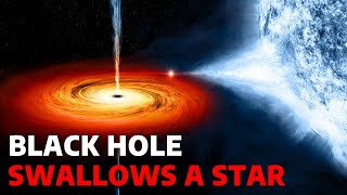 What happens when a Black Hole swallows a Star? Around Us