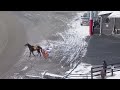 Woodbine Mohawk Park Qualifiers - Monday, December 22 , 2025