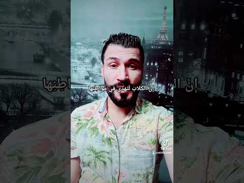 الإمام الشافعي رحمه الله ليت الكلاب لنا كانت مجاورة 