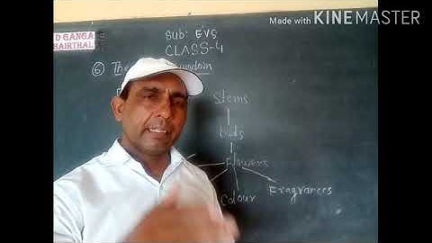 #Class,-4#Sub-EVS#,Chapter-6#Part-2#