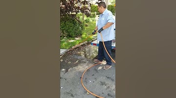 Removing roots from area drains.