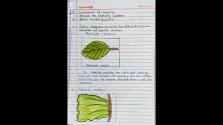 #class6science #chpno2 #diversityinthelivingworld #std6science