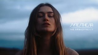 The Ambientalist - Synesthesia (Mood Video 2022)