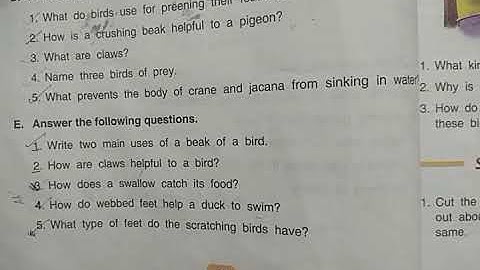 DAV Nahan Class-IV Science Revision L-5, Part-4