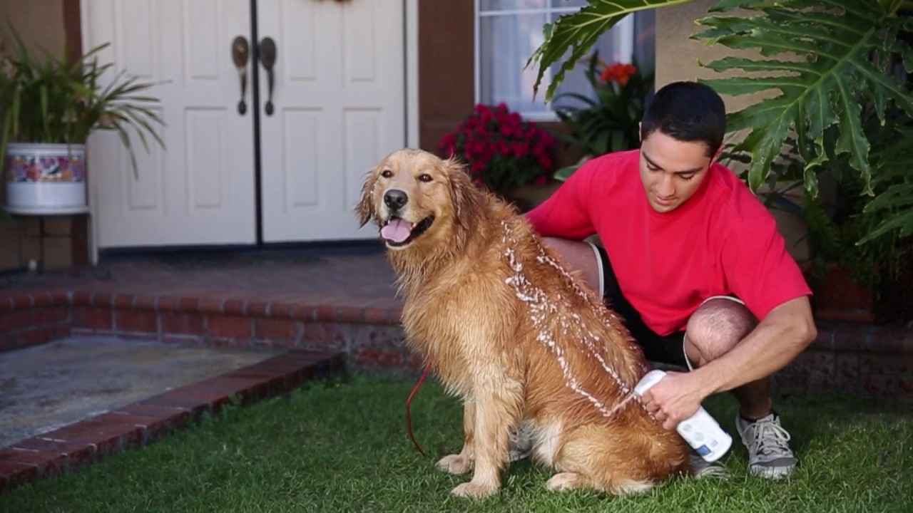 vetericyn shampoo for dogs