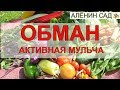 КРУГОМ ОБМАН 😭 Активная мульча или компост??? / Введение в заблуждение?