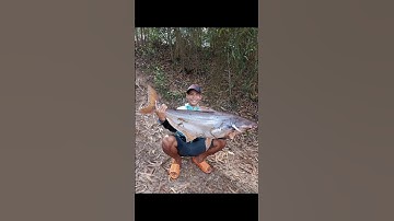 Một số thay đổi nhỏ về cám chuyên tra ĐH1 và cám cá tạp ĐH2 #cauca #fishing #haucaolanh #