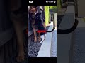 Cute cat and dog 🐕