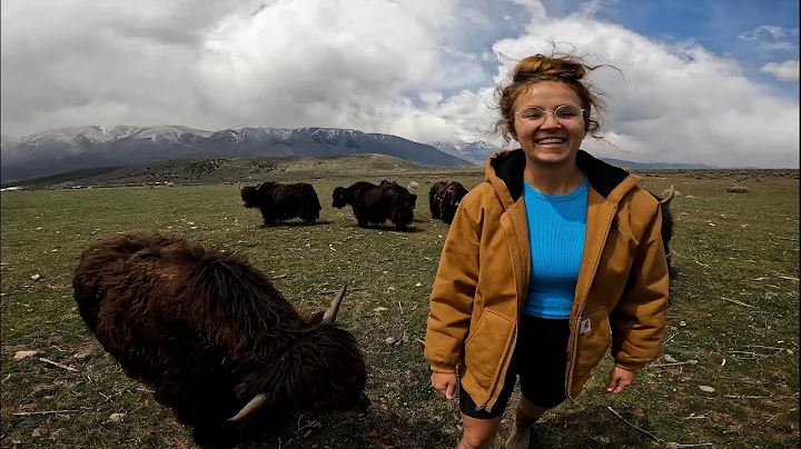 Kimberly Coopers EXDM Application Video