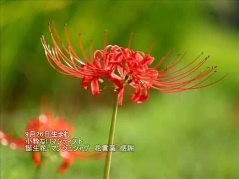 9月26日生まれの性格